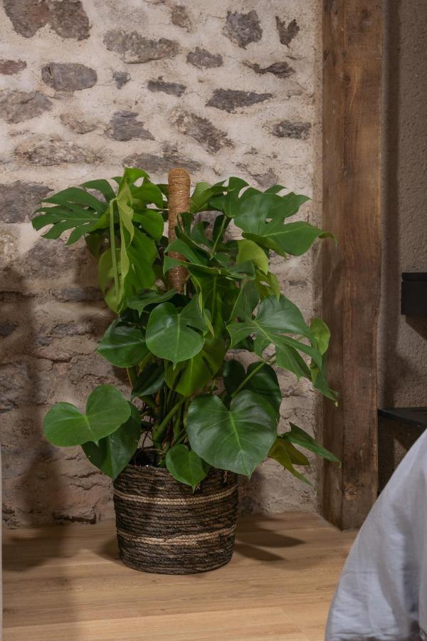 Le Place Du Bourg Appartement T2 Centre Historique ロデーズ エクステリア 写真